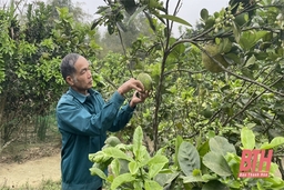 Như Thanh phát huy vai trò người có uy tín trong đồng bào dân tộc thiểu số