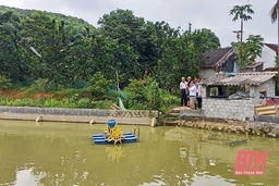 Đảng bộ huyện Như Xuân nâng cao chất lượng sinh hoạt chi bộ