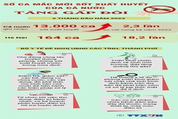 [Infographics] Số ca mắc mới sốt xuất huyết của cả nước tăng gấp đôi