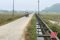 Đầu tư cơ sở hạ tầng vùng sản xuất tập trung