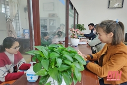 Quảng Xương vươn lên xếp thứ 2 trong Bảng xếp loại mức độ hoàn thành nhiệm vụ cấp huyện