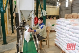 Thu hút nhà máy chế biến sâu các sản phẩm lúa gạo, mang lại giá trị gia tăng cao