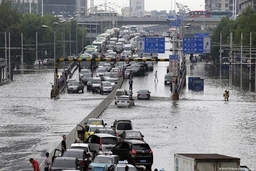 Các thành phố lớn trên thế giới tìm cách “sống chung” với lũ lụt