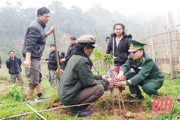 Đẩy mạnh công tác trồng rừng, trồng cây đầu năm