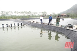 Tỏa sáng phẩm chất Bộ đội Cụ Hồ