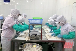 Quan tâm đào tạo nghề, tạo việc làm cho hội viên nông dân