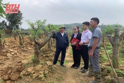“Cánh tay nối dài