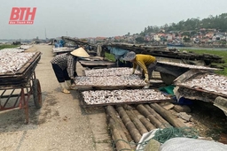 Phát triển dịch vụ hậu cần nghề cá ở thị xã Nghi Sơn