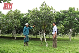 Hội Nông dân huyện Hậu Lộc xây dựng tổ chức hội và phong trào nông dân ngày càng vững mạnh