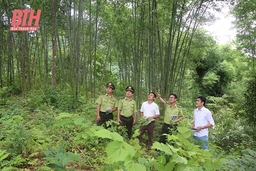 Giữ màu xanh cho đại ngàn...