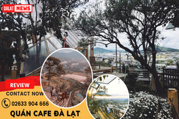 DalatNews chuyên review các quán cafe Đà Lạt hot nhất hiện nay