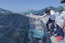 Thực hiện các biện pháp bảo vệ nuôi trồng thủy sản mùa nắng nóng