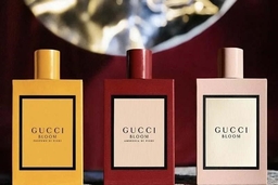 Những lý do nên chọn mua nước hoa Gucci nữ tại Tungshop.com