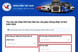 [Infographics] - Hướng dẫn gia hạn đăng kiểm tự động cho xe ôtô