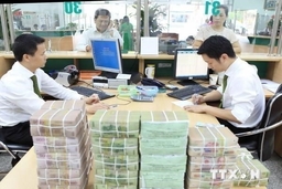 Chấn chỉnh việc chấp hành pháp luật về tài chính-ngân sách nhà nước