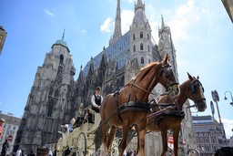Vienna duy trì vị trí đứng đầu trong Top 10 thành phố đáng sống nhất