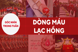 Góc nhìn trong tuần: Dòng máu Lạc Hồng