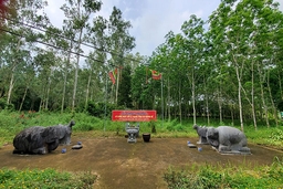 Bảo tồn, phát huy giá trị kinh đô Vạn Lại - Yên Trường (Bài 1): Những “chứng tích” sót lại của kinh đô xưa