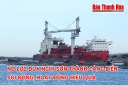 Nỗ lực đưa Nghi Sơn thành cảng biển sôi động, hoạt động hiệu quả