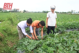 Nga Sơn thực hiện thành công nhiều chương trình trọng tâm