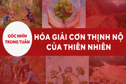 Góc nhìn trong tuần: Hóa giải cơn thịnh nộ của thiên nhiên