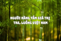 Người nâng tầm giá trị tre, luồng Việt Nam