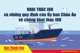 [Infographics] - Khai thác IUU và những quy định của Ủy ban Châu Âu về chống khai thác IUU