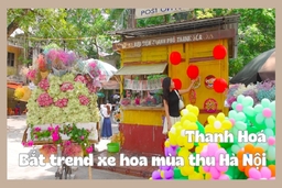 Thanh Hóa: Bắt trend xe hoa mùa thu Hà Nội