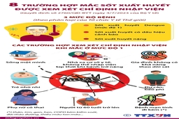 8 trường hợp mắc sốt xuất huyết được xem xét chỉ định nhập viện