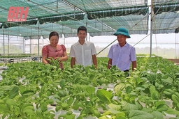 Hậu Lộc tập trung hoàn thành mục tiêu, nhiệm vụ 3 tháng cuối năm
