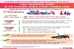 Các trường hợp ôtô thuộc diện phải triệu hồi từ 1/10