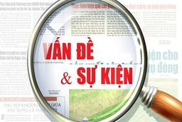 Ngày càng có nhiều ác nhân và câu hỏi về giáo dục