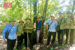 Ban Quản lý rừng phòng hộ Mường Lát chú trọng công tác tuyên truyền bảo vệ rừng