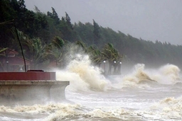 Khu vực ven biển từ Quảng Ninh-Khánh Hòa chủ động ứng phó bão Koinu