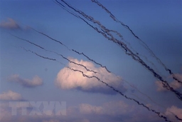 Xung đột Hamas-Israel: Thụy Sĩ tạm dừng các chuyến bay từ Israel