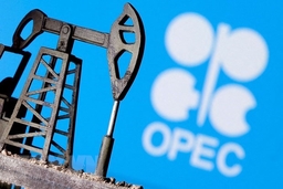 OPEC không có kế hoạch áp lệnh cấm giao dịch dầu mỏ với Israel