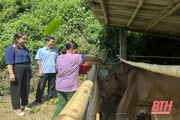 Phát huy vai trò của đảng viên trong phát triển kinh tế