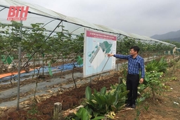 Xuân Du đẩy mạnh phát triển sản xuất, gắn với XDNTM