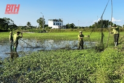 Hạt Kiểm lâm ven biển: Tăng cường bảo tồn các loài chim hoang dã, chim di cư