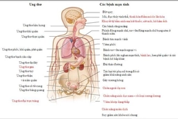 Bộ Giáo dục và Đào tạo đưa phòng chống thuốc lá vào chương trình bậc THPT