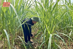 Tỏa sáng nghị lực của những “vầng trăng khuyết”