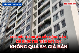 Bản tin 18h ngày 28-11-2023 : Chủ đầu tư dự án bất động sản chỉ được thu tiền đặt cọc không quá 5% giá bán