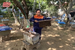 Nâng cao tiêu chí thu nhập trong xây dựng nông thôn mới ở huyện Hà Trung