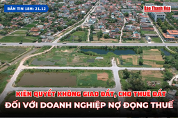 Bản tin 18H ngày 21/12:  Kiên quyết không giao đất, cho thuê đất đối với doanh nghiệp nợ đọng thuế