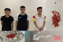 Xác lập, đấu tranh hiệu quả 30 chuyên án tội phạm ma túy