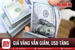 Bản tin tài chính sáng 19/1/2024: Giá vàng chưa thể đảo chiều