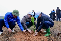 Chọn thời điểm phát động “Tết trồng cây” ở các tỉnh phía Bắc và phía Nam