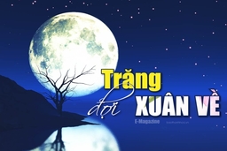 [E-Magazine] – Trăng đợi xuân về