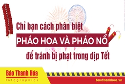 Cách phân biệt pháo hoa và pháo nổ để tránh bị phạt trong dịp tết