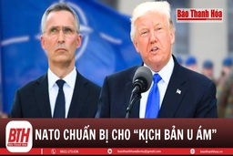 NATO âm thầm chuẩn bị cho khả năng ông Trump trở lại Nhà Trắng